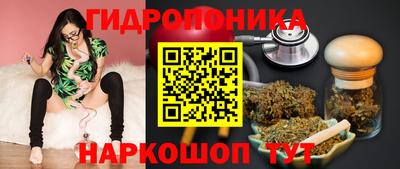 эйфоретик Обь